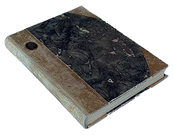 Type case